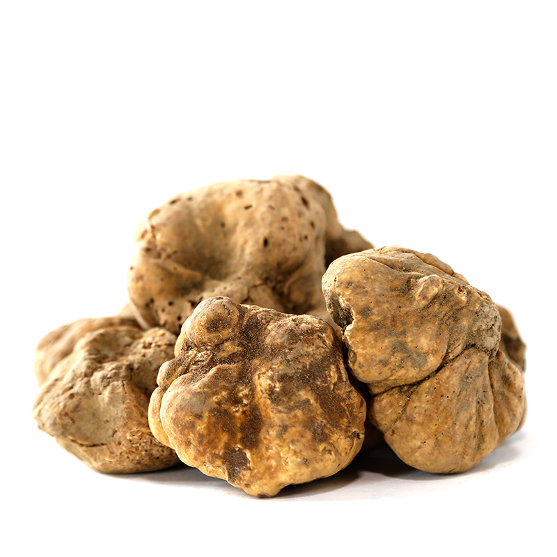 Tartufo Bianco Nostrano (Bianchetto - Bianco )